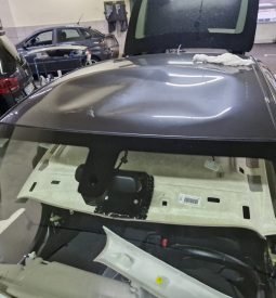 WhatsApp Image 2024-11-19 at 13.55.12